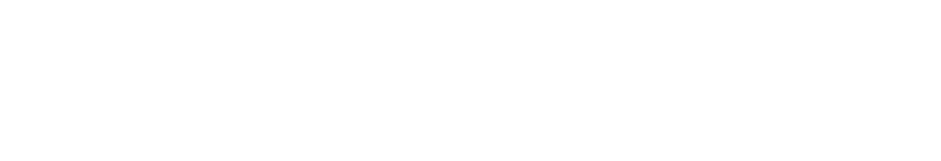 Digital Notary logo